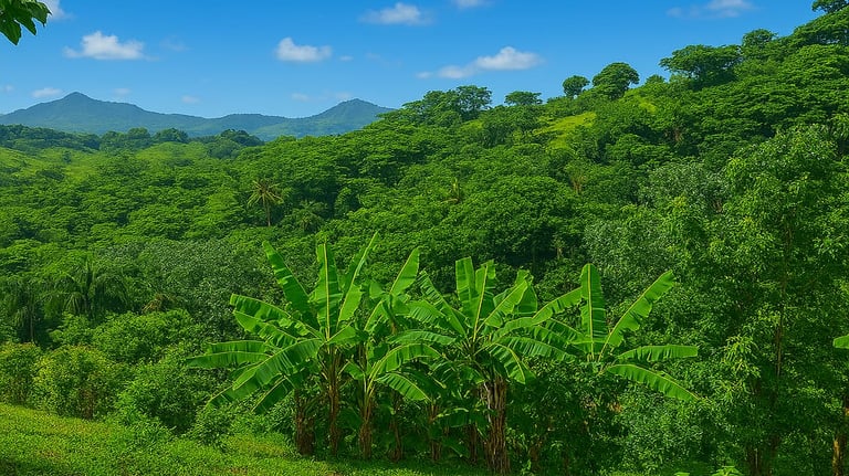 Land for sale Miches