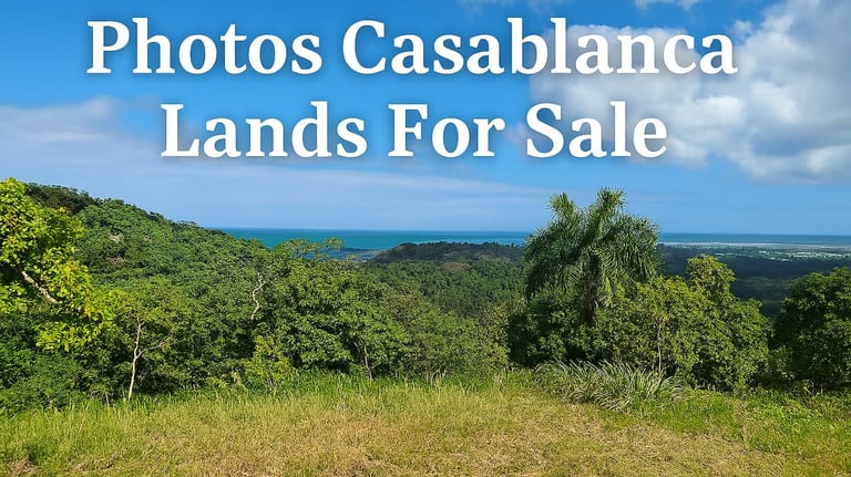 Photos lands for sale Miches
