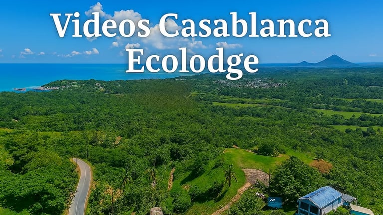 Video Miches land for sale