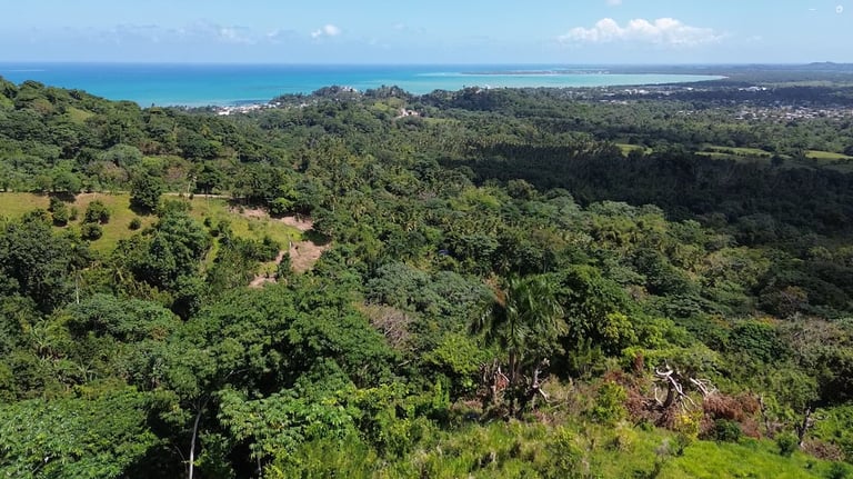 Sea view from plots B - click to enlarge