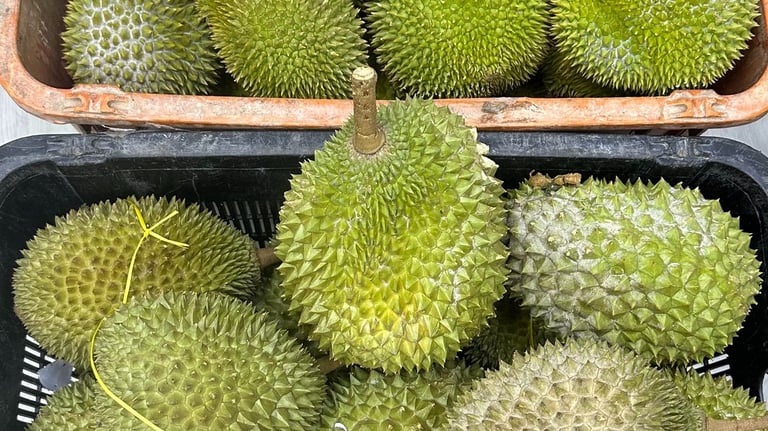 a basket of durian fruit for wholesale