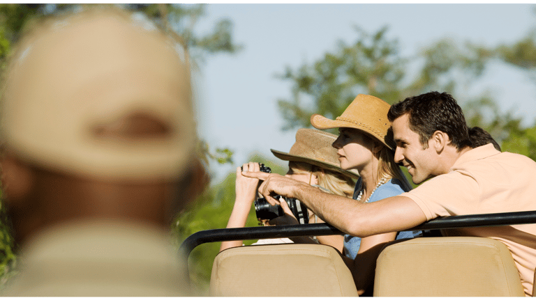 safari packages in ranthambore national park