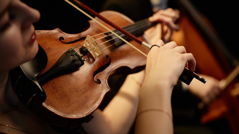 Musician performing