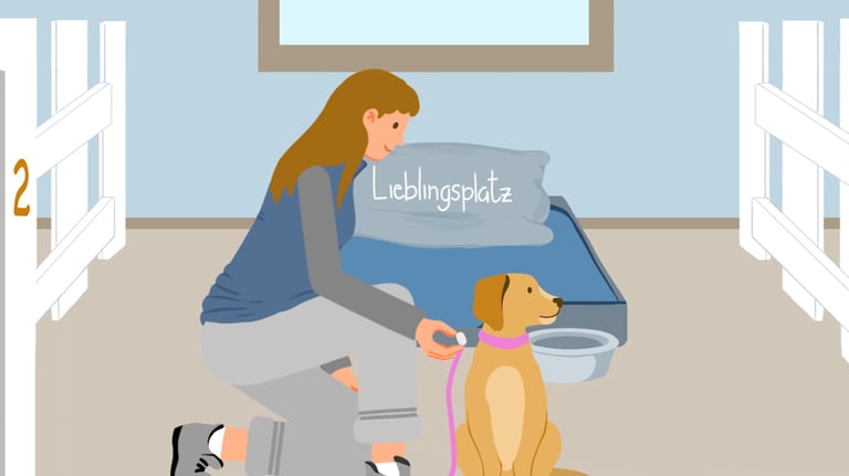 a woman in a blue vest is unleashing a dog in front of a dog bed