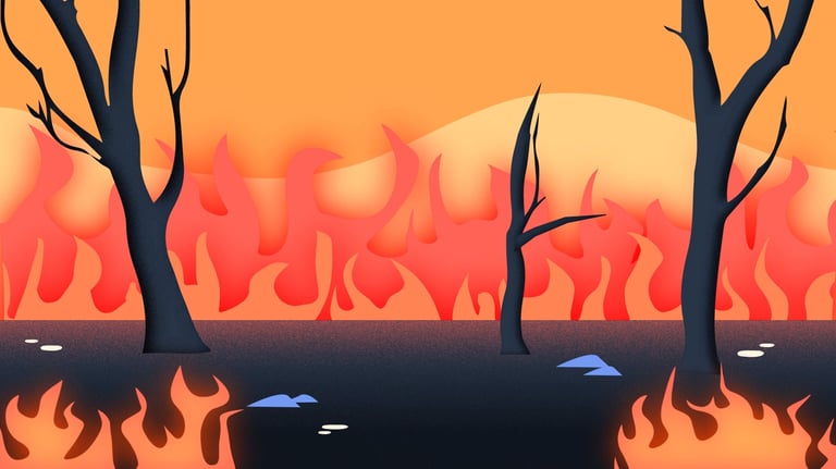 a fire in a forest with black trees dying