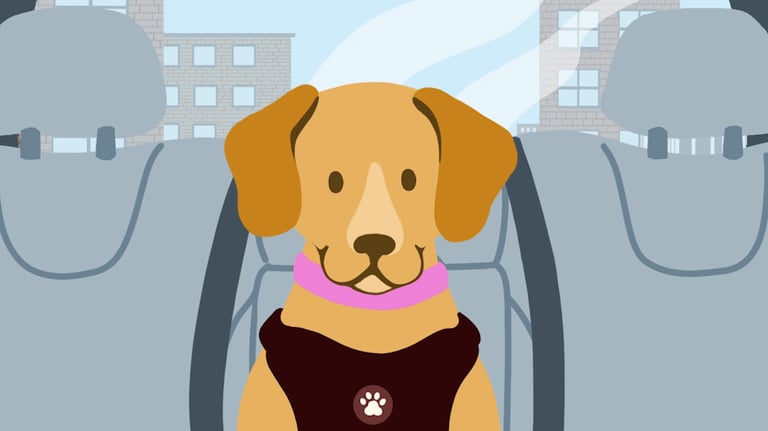 a dog sitting in the back of a car. a city landscape in the background