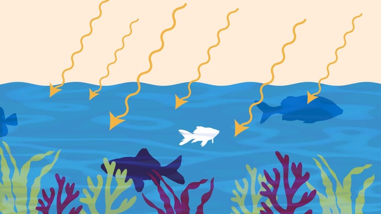 fish in the ocean with algae and sunrays penetrating the water