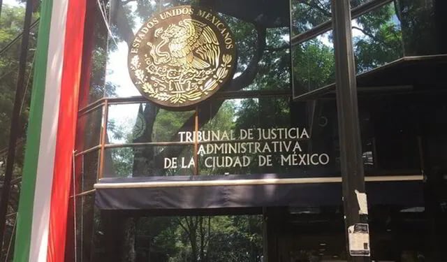 dictamen judicial