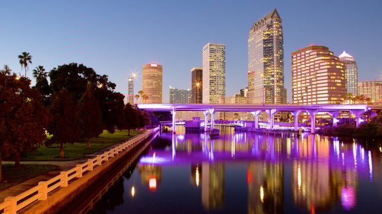 Tampa area