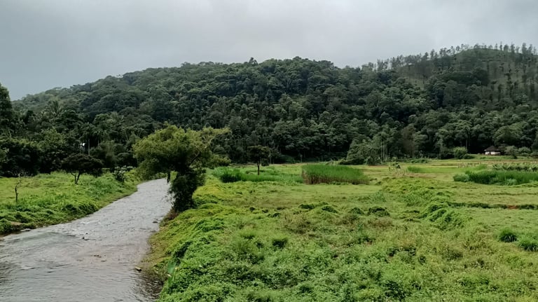 Kambamala Eco Tourism