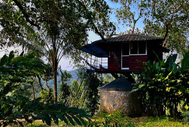 TREE HOUSE and BATH