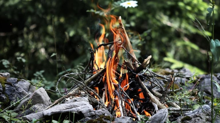 How to start and build a fire.