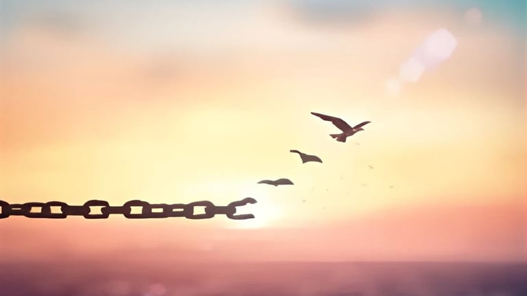 envol oiseaux libération 