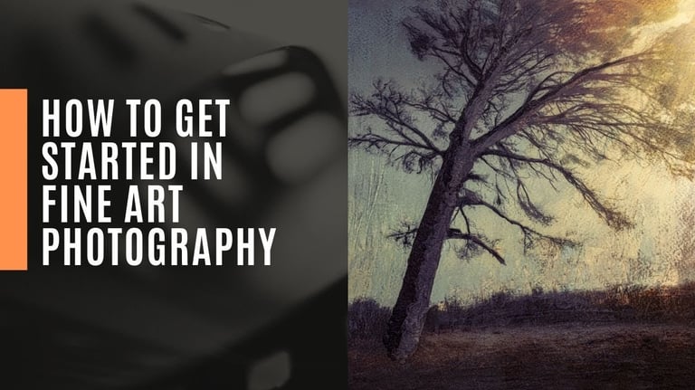 An art impression of a tree using fine art photography