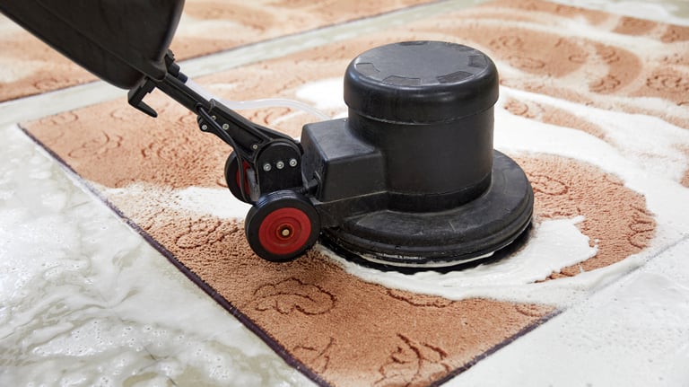 carpet cleaning pet waste