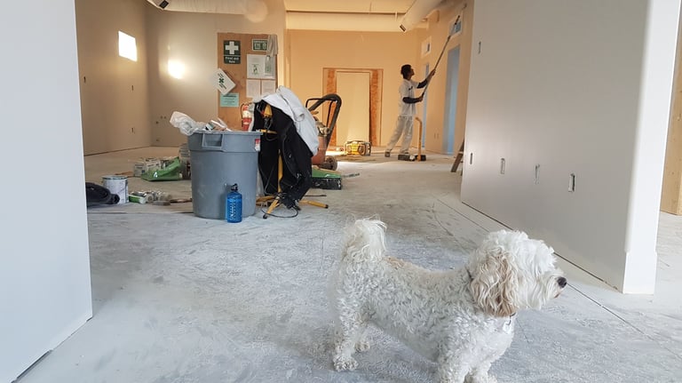 Water Damage Restoration Halifax, Dartmouth Nova Scotia Urgent