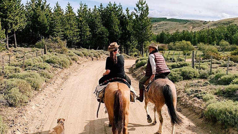 Two people on horseback riding on a trail.