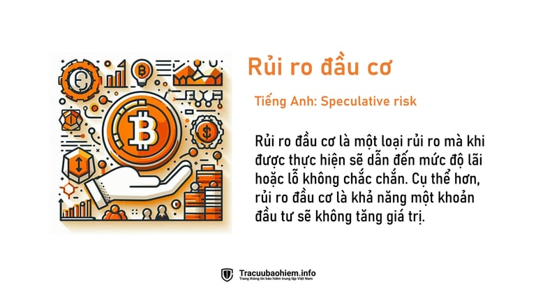 Rủi ro đầu cơ là gì? Định nghĩa rủi ro đầu cơ