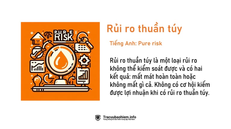 Rủi ro thuần túy là gì? Định nghĩa rủi ro thuần túy