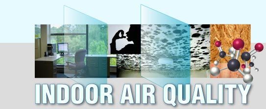 Mold and air quality testing