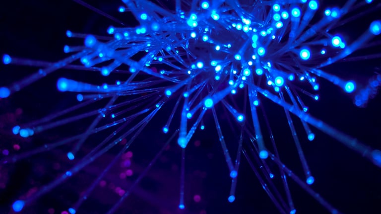 Servicios de IT personalizados para optimizar la infraestructura tecnológica de tu empresa.