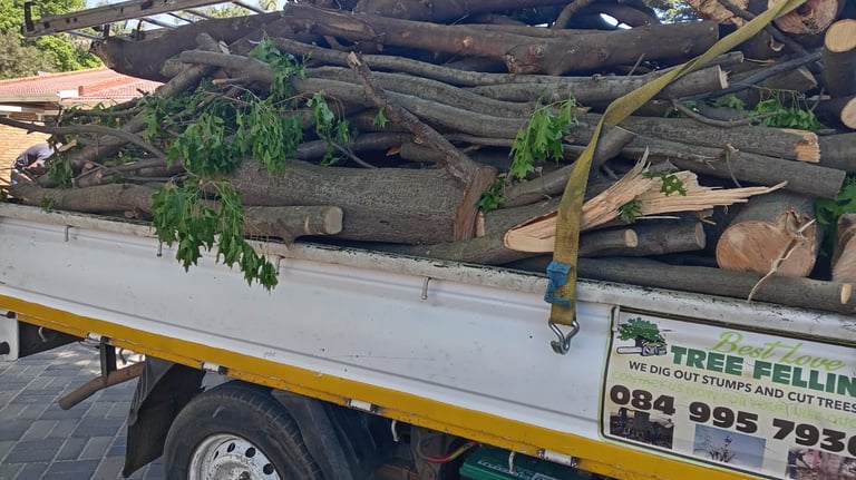 Loading Wood in a truck to dumpsite