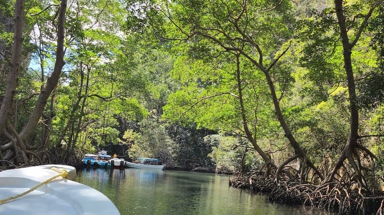 Parc Los Haitices depuis Miches