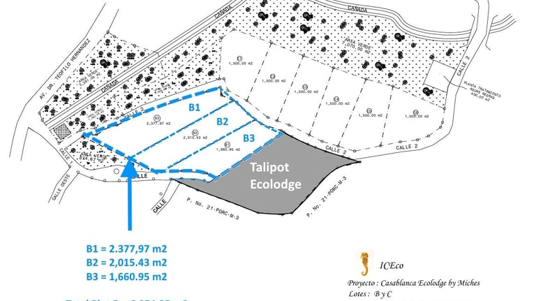 Click to enlarge - Land for sale for Confotur Projets