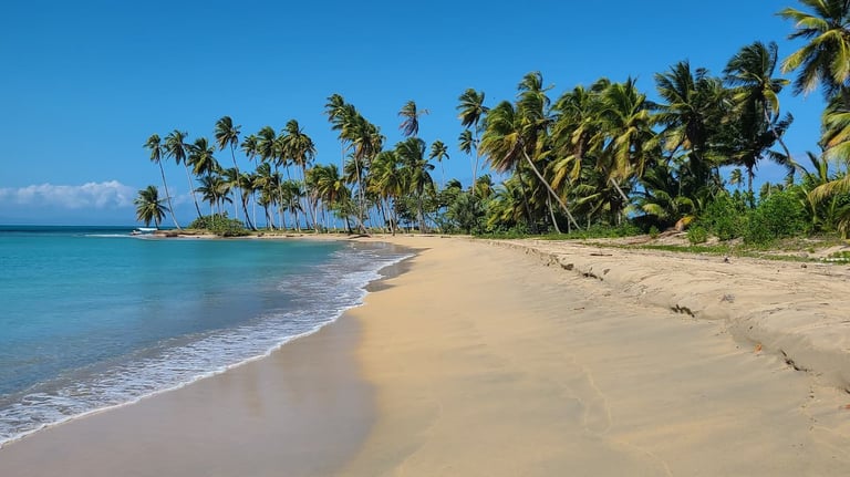 Photo Playa Esmeralda Miches - Click to enlarge