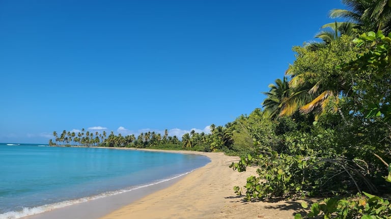 Photo Playa Esmeralda Miches - Click to enlarge