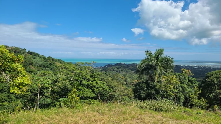 Photo Miches - Land for sale