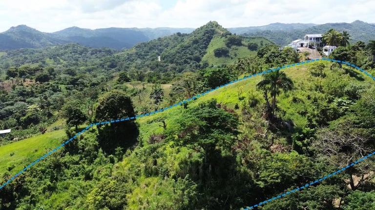 Click to enlarge - Land for Sale Confotur