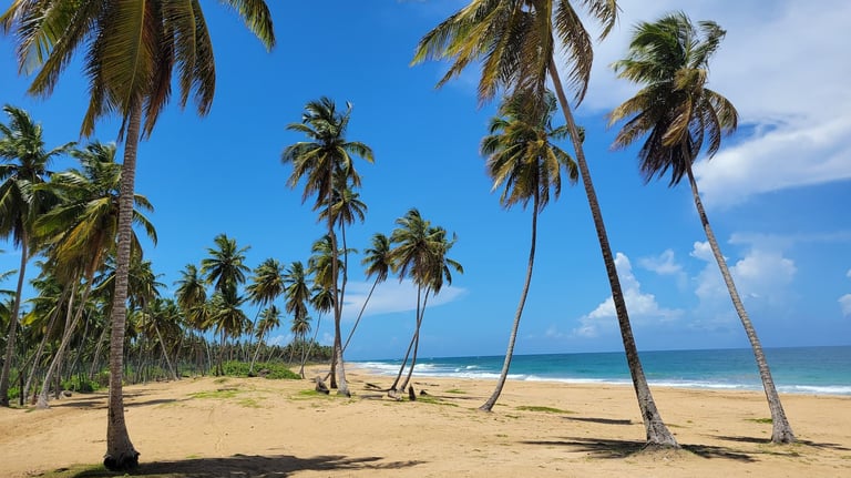 Playa El Limón