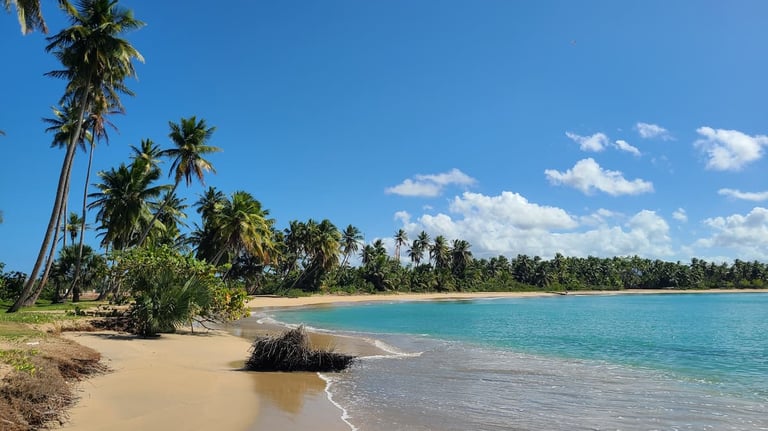 Playa Esmeralda Miches