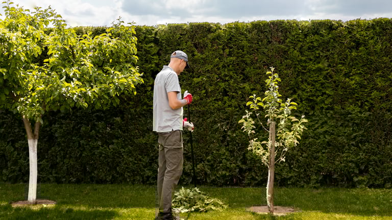 Nuolatinis sodo tvakymas