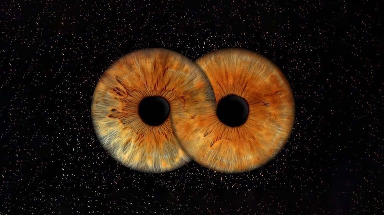 Duo Iris Yeux Marron
