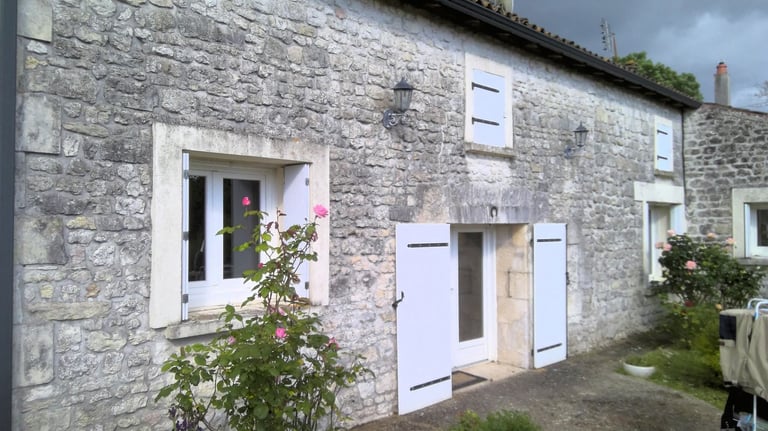 Nettoyage par drone, démoussage de toiture, Nettoyage de panneaux solaires, façade et bardage 