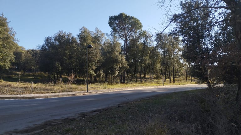 Terreno en venta en El Brull 2000 m2