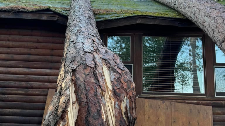 tree damage to cottage in a storm