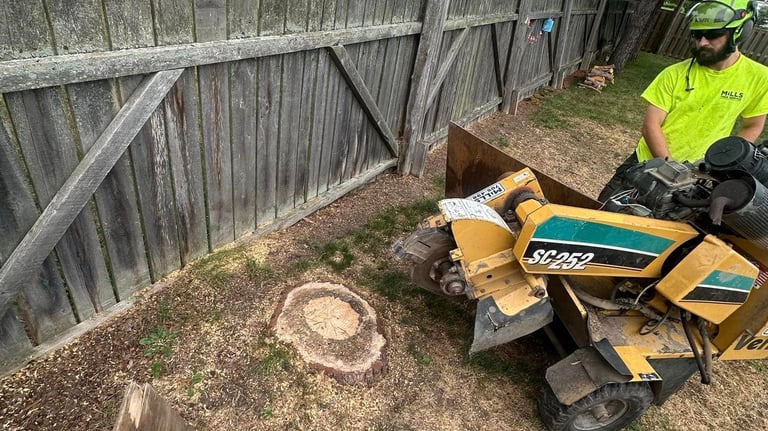 stump grinding service in North Bay