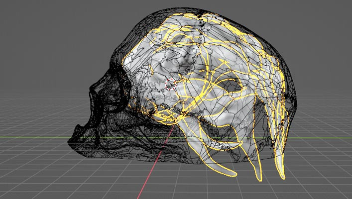 Screenshot from Blender 3d modeling program. It is a skull made of polygons with a flaming D20 in the middle. 