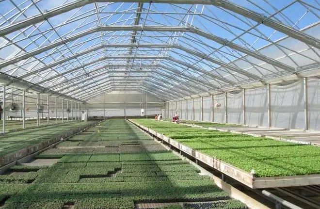 Agriculture Greenhouse