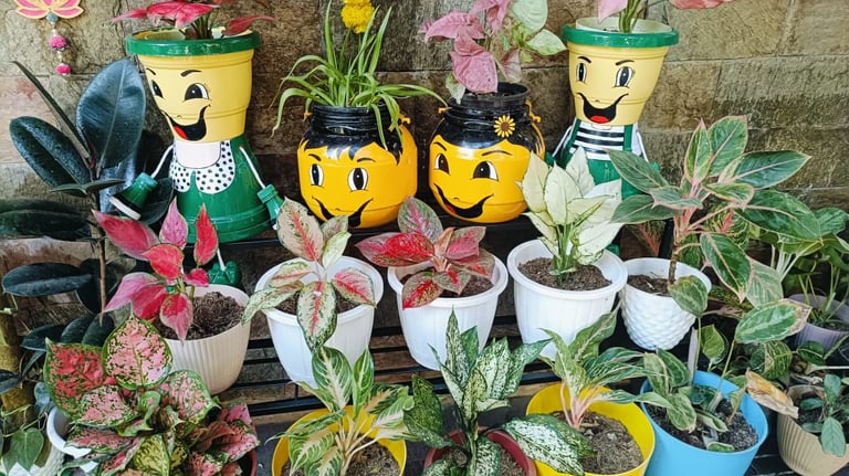 emoji planter