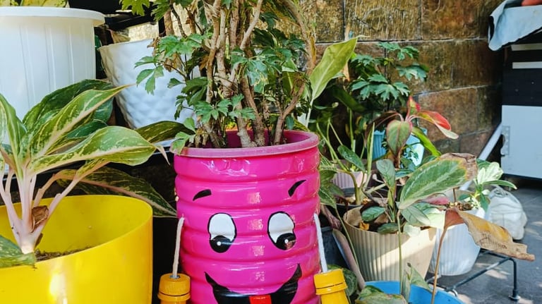 baby planter