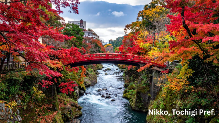 Nikko