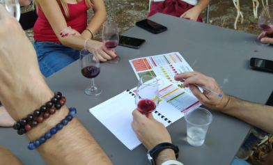 groupe de personnes sur une table devinant les vins de la région d'Aix