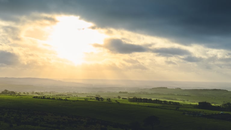 Sunlight lighting up green country fields