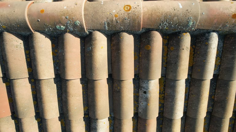 Inspection de toiture (13)