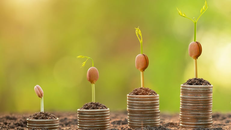 a row of coins with a plant growing from the coins