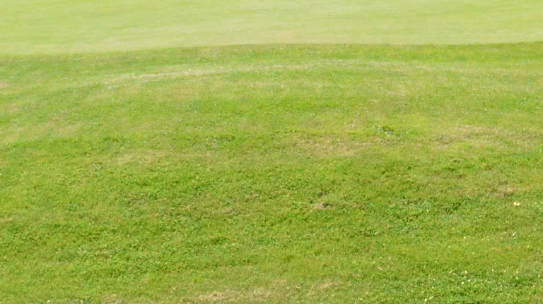 Tonte de pelouses à Soisy-sur-Seine et aux alentours.